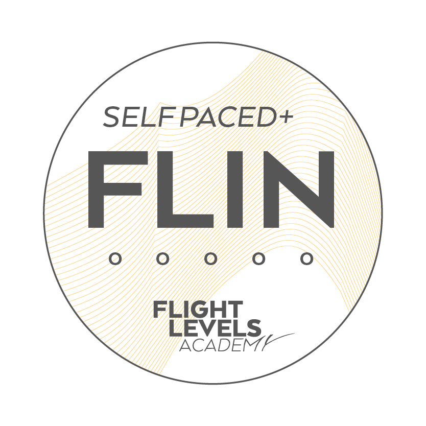 Badge: Introduction to Flight Levels
